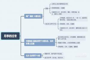 全國各地月季如何過冬(月季安全越冬的注意事項)