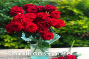 朱砂痣Vermillion Granite