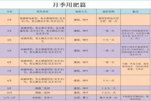 月季什么時候施肥最好